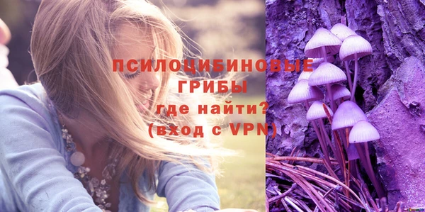 соль ск Приозерск