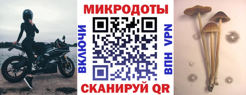 Псилоцибиновые грибы MAGIC MUSHROOMS  Жиздра 
